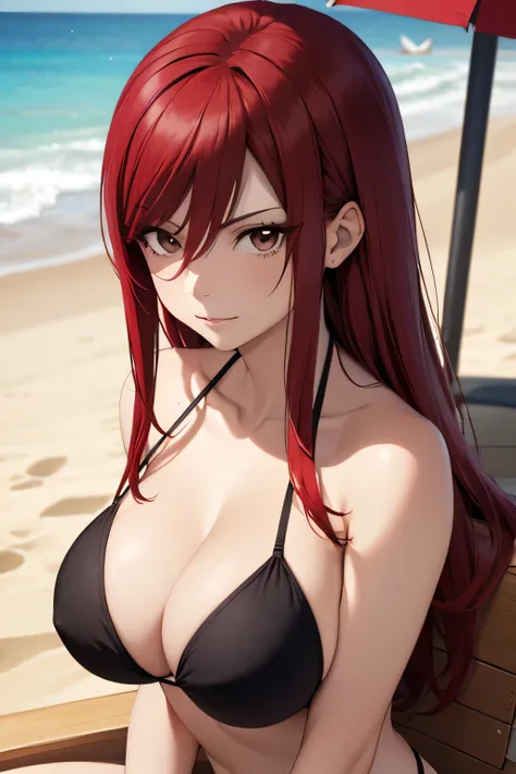 absurdres, high res, ultrasharp, 8K, {masterpiece}, expressive eyes, extremely detailed, best quality, perfect face, erza scarlet, long hair, (red hair:1.5), hair between eyes, (brown eyes:1.7), large breasts, pleased, beach, bikini, sitting, seductive,