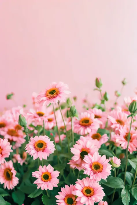 knolling flowers, pastel colors, minimalist, peachy Wes Anderson colors, flatlay photography, hyperrealistic photography, 
professional, 8K --ar 215:466 --style raw --s 250--v 6.0--sref 