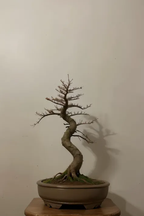 hazme un logo con un samurai con un arbol bonsai 