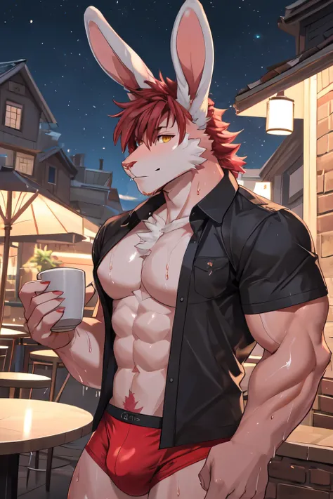 ((best quality)), ((masterpiece)), (detailed), perfect face, bara furry, rabbit man, big body, pink skin, short jackson wang red hair, yellow eyes, perfect eyes, long rabbit ears, wet body, handsome, at cafe, night background, opened shirt, red underwear