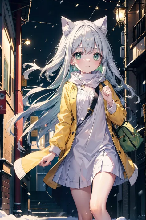 index, index, (green eyes:1.5), silver hair, long hair, (flat chest:1.2),cat ear,cat tail,blush,smile,open your mouth,gray handb...