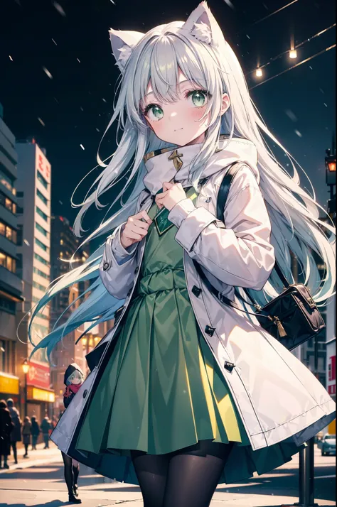 index, index, (green eyes:1.5), silver hair, long hair, (flat chest:1.2),cat ear,cat tail,blush,smile,open your mouth,gray handb...