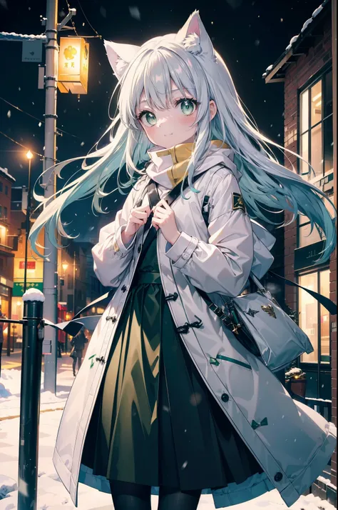 index, index, (green eyes:1.5), silver hair, long hair, (flat chest:1.2),cat ear,cat tail,blush,smile,open your mouth,gray handb...