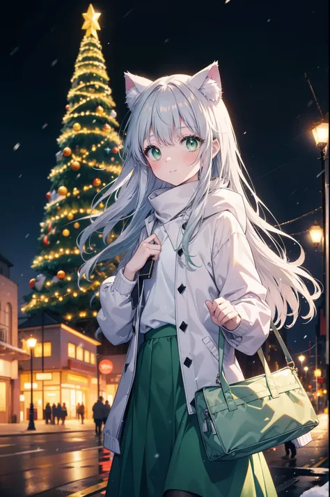 index, index, (green eyes:1.5), silver hair, long hair, (flat chest:1.2),cat ear,cat tail,blush,smile,open your mouth,illuminati...