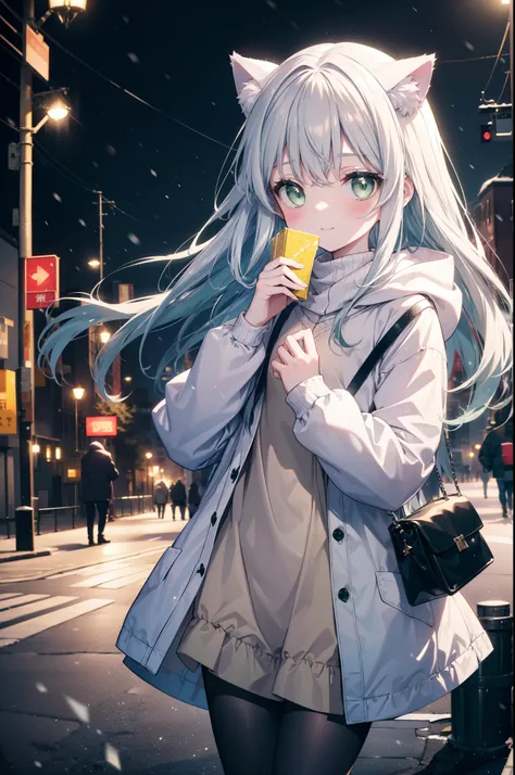 index, index, (green eyes:1.5), silver hair, long hair, (flat chest:1.2),cat ear,cat tail,blush,smile,open your mouth,illuminati...