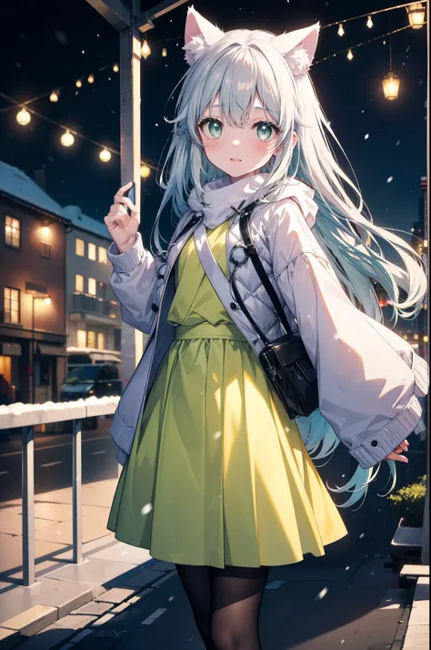 index, index, (green eyes:1.5), silver hair, long hair, (flat chest:1.2),animal ears　cat ear,animal tail　cat tail,blush,smile,op...