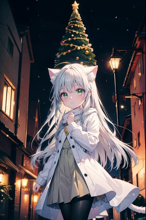 index, index, (green eyes:1.5), silver hair, long hair, (flat chest:1.2),animal ears　cat ear,animal tail　cat tail,blush,smile,op...