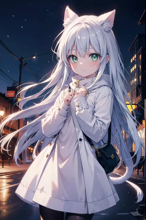 index, index, (green eyes:1.5), silver hair, long hair, (flat chest:1.2),animal ears　cat ear,animal tail　cat tail,blush,smile,op...