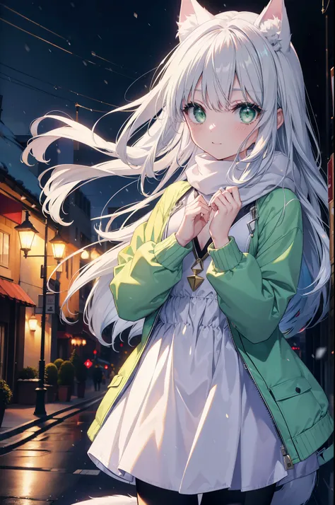 index, index, (green eyes:1.5), silver hair, long hair, (flat chest:1.2),animal ears　cat ear,animal tail　cat tail,blush,smile,op...