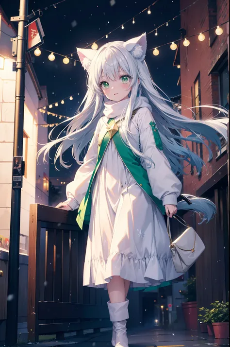 index, index, (green eyes:1.5), silver hair, long hair, (flat chest:1.2),animal ears　cat ear,animal tail　cat tail,blush,smile,op...