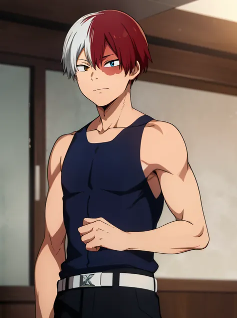 Highres, Masterpiece, Best quality at best,High-quality illustrations, Best Quality,hight quality, horikoshi kouhei, 1boy, Boy, Young boy, Todoroki shouto, bangs, blue eyes, blurry, Blurry background, boku no hero academia, burn scar, closed mouth, Tank to...