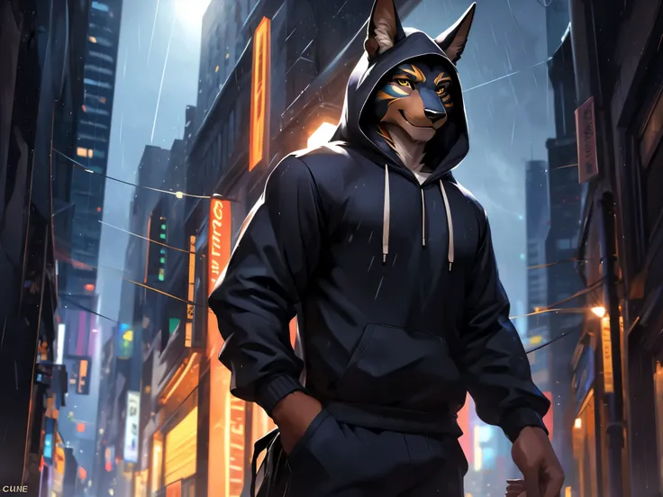 4k, ,8K, A high resolution, best quality, perfect colors, perfect shadows, perfect lighting, posted on e621, (by Chunie), male, furry, Anubis anthro, solo, Yellow eyes, (Realistic eye details 1.2), night in the city, rain, (Realistic Rain detail), Streetwe...