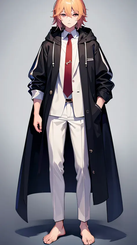 masterpiece, highest quality, male, one person, whole body, anime, to the toes, standing, hooded coat, shirt, pants