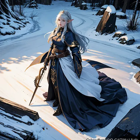 An elegant queen elf, adorned with an ice tiara on her head and a navy blue winter cloak embellished with golden details and a snowflake brooch. Her long black hair cascades down her back, a stark contrast against the winter landscape. Standing regally in ...