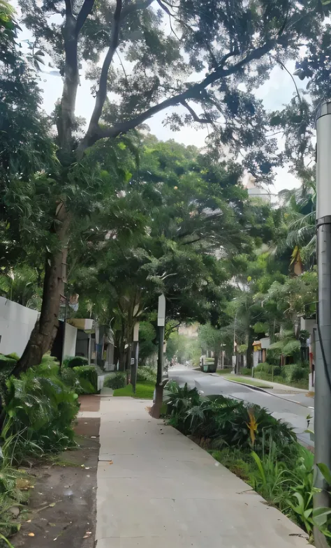 there is a street sign that is on the side of the road, nature growing around the city, lush vegetation in the center, forest city streets behind her, the city is full of green plants, with lots of vegetation, outdoors tropical cityscape, many trees and pl...