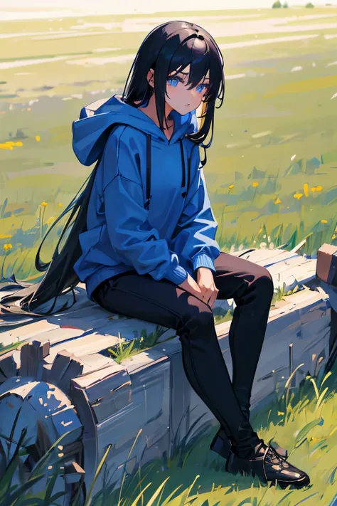 1girl, Black straight long hair, Blue eyes, (Detailed face), Full body, ((intense Blue hoodie), medieval, (Grasslands bakcground), masterpiece, black pants, 