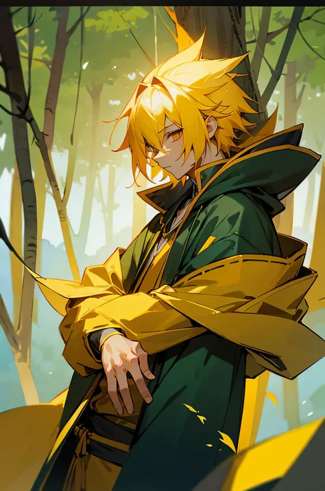 1 male, yellow skin, tai, mage clothes, hoodie, forest background