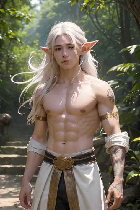 a half-naked, white-haired elf, with ethereal beauty, gracefully controlling the wind around him. his toned, tanned body was ado...