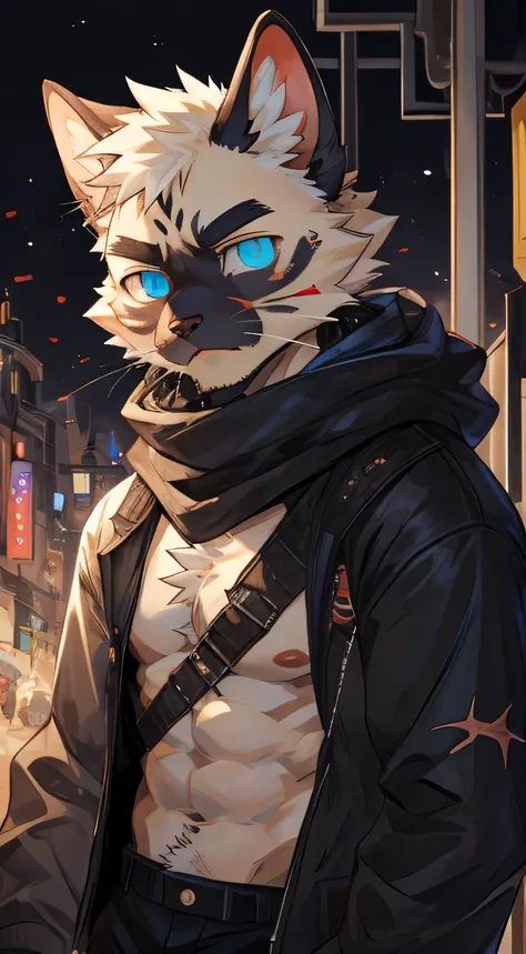 masterpiece，high quality，perfect anatomy，furry，anthro cat，Siamese cat，male， niji5，shirt lift,biting shirt,shirt on mouth，blue pupils，bright eyes，scar on face，detailed face，by kiyosan，close up face