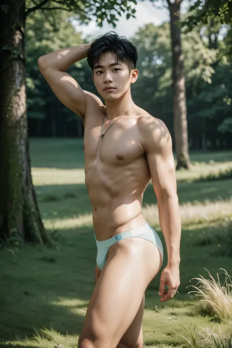 Best quality, offical wallpaper, 1boy, A sunny morning，grassy fields，ln the forest，Wearing a thong underwear,  Realistic, Photorealistic,  (EOS R8,50 millimeters,F1.2,8K,RAW photo:1.2), Bokeh