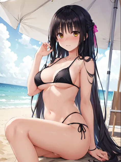 absurd、High resolution、(masterpiece)、best quality、(perfect anatomy)、very detailed, anime illustration, 

Natsume, , black hair, yellow eyes, big , long hair, 
looking at the viewer,

(Depth of the bounds written)、Bokeh, 
(blush:1.2)
black  bikini, 
 
beach...