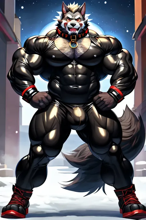 ((best quality)), ((masterpiece)), (detailed) muscular male, werewolf, grey fur, huge muscles, huge crotch, by doooo2424, black fullbody skintight rubber catsuit, black clothing, beard, facial hair, limb belts, dog collar