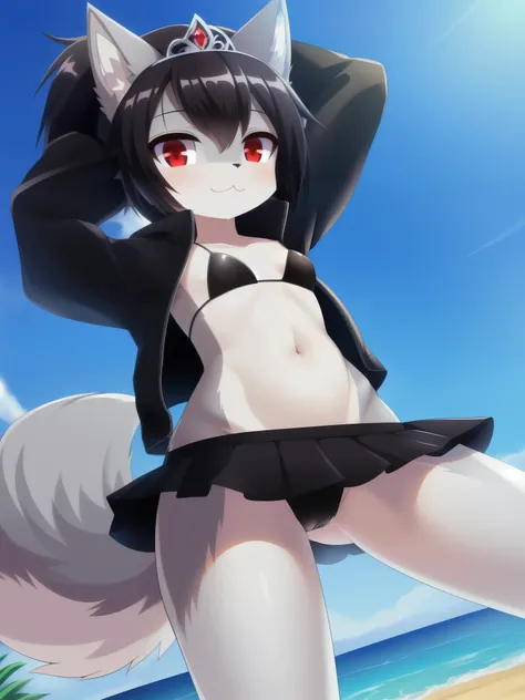 furry girl, young, wolf, black hair, emo shag hairstyle, long spiky ponytail, anime style, small breasts, red eyes, ((black hoodie jacket, open clothes, black bikini, black skirt, princess tiara)), beach, clear sky, high quality, detailed body, detailed ey...