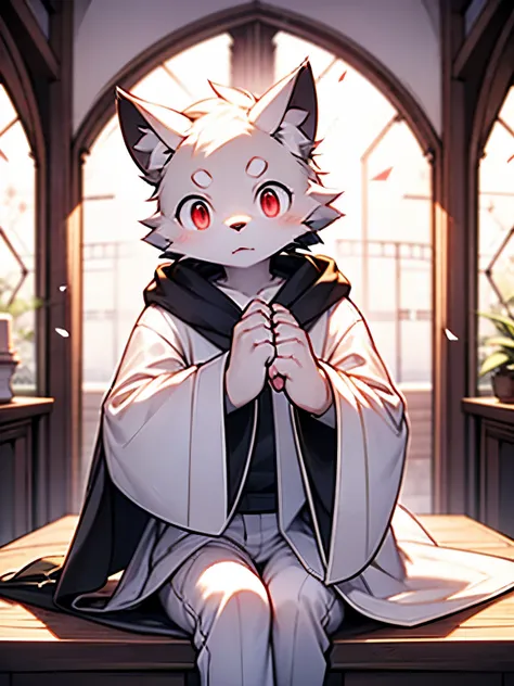 alone，mage，male，adult，white wolf，black and white hair，red eyes，white robe，gold diamond pattern，white trousers，white plush paws，s...