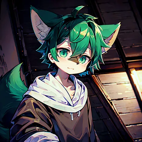 masterpiece, alone, furry, kemono, shaggy fox, personification, black fur, dark skin, mint green eyes, mint green hoodie, femboy...