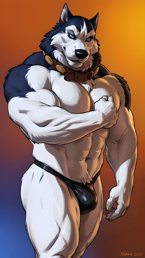 Steele_(Balto), 4k, high resolution, best quality, detailed, posted on e621, solo, anthro body, older male, masculine, male, very masculine, (very muscular, defined muscles, muscular arms, muscular legs, heavyweight):1.2, (plain background:1.1), correct an...