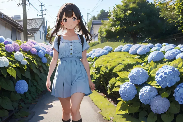 A girl walking among many hydrangeas