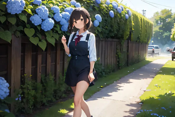 A woman walking among many hydrangeas