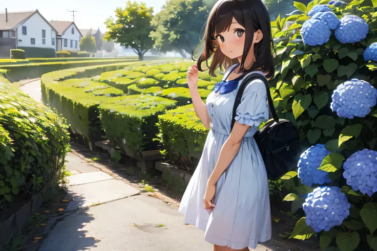 A woman walking among many hydrangeas