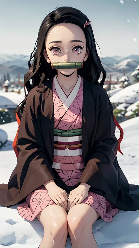 masterpiece, best quality, 1girl, normalnezuko, multicolored hair, pink kimono, bit gag, checkered sash, looking at viewer, sitting, in snow, perfect light, hands away, 