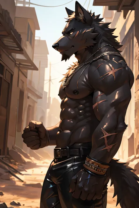 Masterpieces, furry, male, Anthropomorphic, old black wolf, veiny, slender body type, plump six packs, Delicate eyes, white goatee, grizzled fur, glistening body, thug, fighter, tan skin, dirty, depth of field, warm lighting, bright lighting, (best quality...