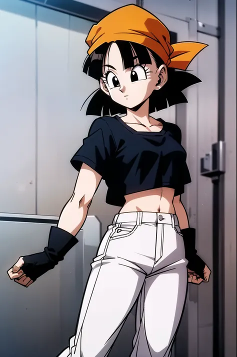 pan, from dragon ball gt, is a young woman with short, dark hair, , female, crop top,, fingerless gloves, pants, orange bandana,...