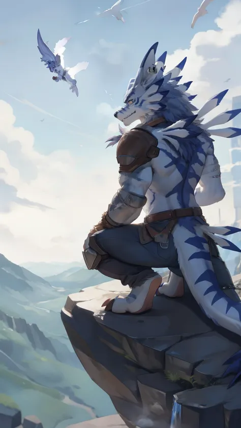 weregarurumon, on the edge of a jagged rock, view from top