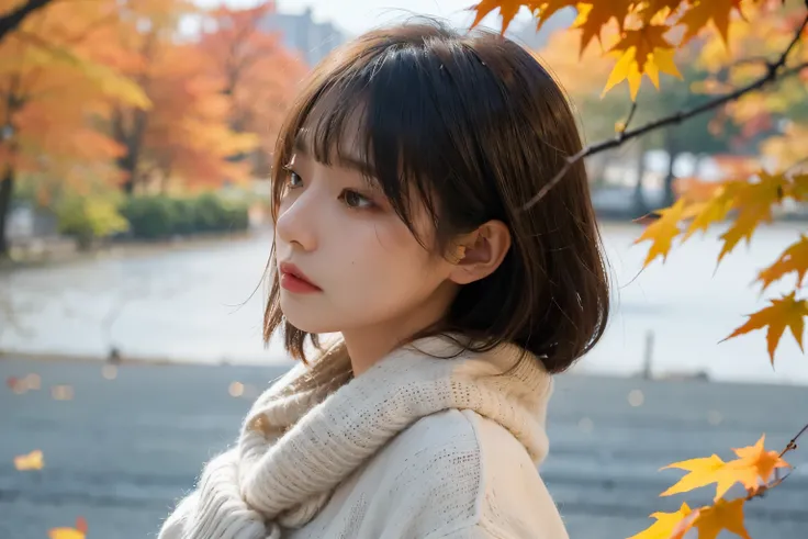 from side , Japan, minimum, harmony, tranquility, beautiful, autumn, Beautiful shade of autumn leaves, (Vivid Maple:1.2), Diffused Light on maple, 1 girl, slender, Medium Hair, diffused natural skin glow, bangs, Yellow knit, Gray muffler, masterpiece, high...