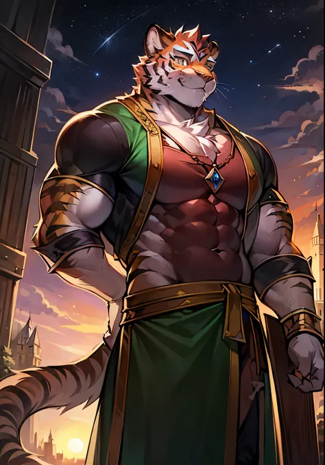 solo male, muscular body, ripped body, tiger knight, standing under the stars, fantasy background with castle in the distance, facing viewer, head tilted to the side, beautiful sunset sky, wearing tunic, tiger furry character