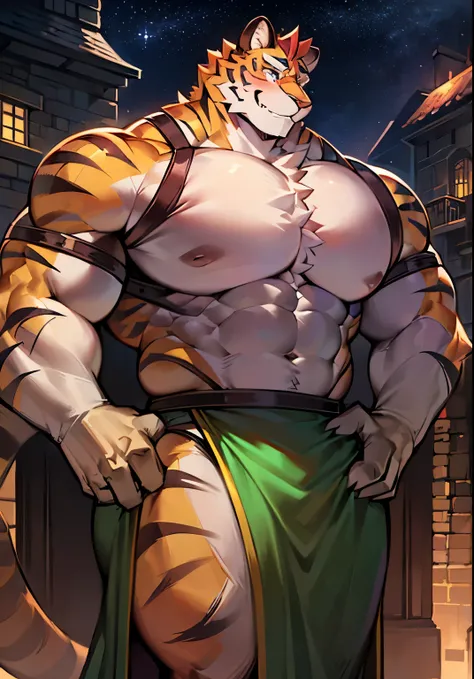 solo male, muscular body, ((massive pecs, ripped body, bulging pecs, saggy pecs, round pecs, huge pecs)), tiger knight, standing under the stars, fantasy background with castle in the distance, facing viewer, head tilted to the side, beautiful sunset sky, ...