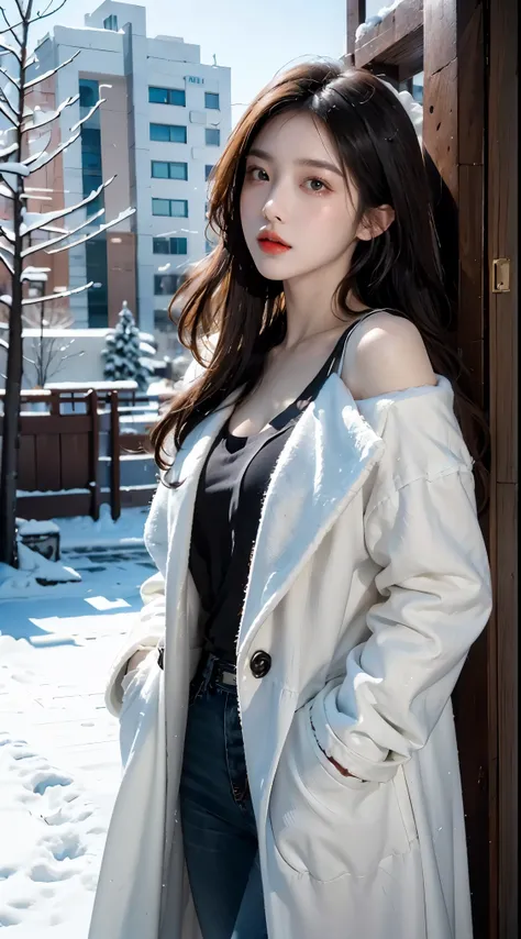 realistic photos of (1 cute Korean star) Shoulder-length hair, thin makeup, medium breasts size, wearing coat, in the snow, clear facial features, 8K high resolution, sharp and realistic details.from outside, Eye-Level Shot, f/4.0, 135mm, Fujifilm, jpeg ar...