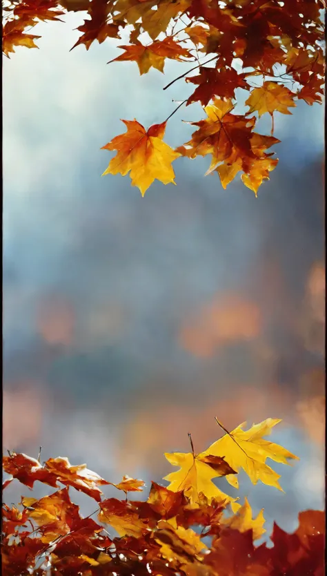 cinematic photo , style by Peter Beard ,photorealistic, masterpiece, looking into the sky, oak red and yellow leaves fill the entire space, autumn, raining, raindrops, saturation, professional, inviting, well-lit, high-resolution, . 35mm photograph, film, ...