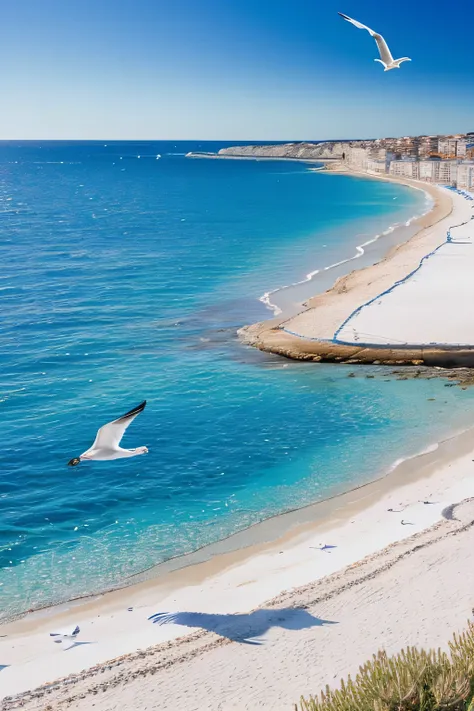 Blue Coast, Daily life, calm sea, seagulls, Nice coast in France, contrast between blue sea and white sand, (best composition), (Masterpiece), (Best Quality),