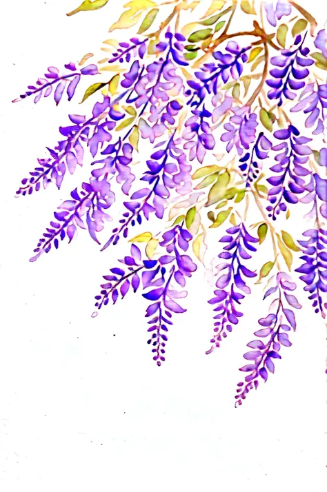 wisteria flower, watercolor painting