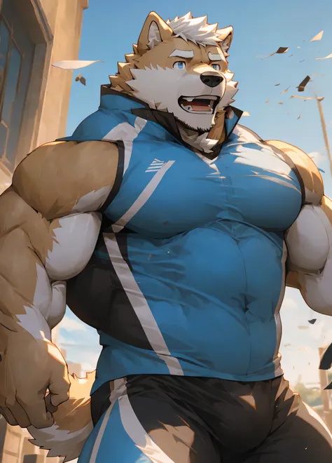 (masterpiece)，(Very detailed)，(best quality)，hairy，Shiba Inu，fur，white hair，Gray pupil，Muscular，(Sports suit)，((expression))，8k，(high quality)，(Ultra HD)，(Ultra Detailed)