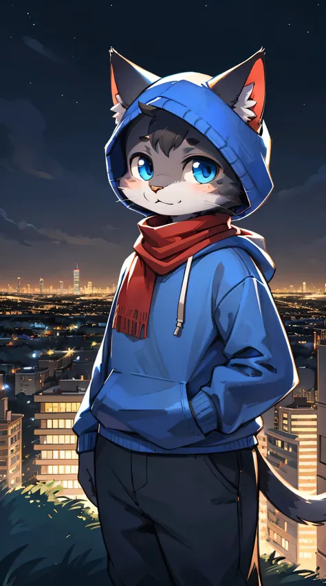 a full body, anthropomorphic old adult cat wearing a blue hoodie, pants and a red scarf aaround the neck, cute face , posing for a picture in a hill at night with a city in the distance