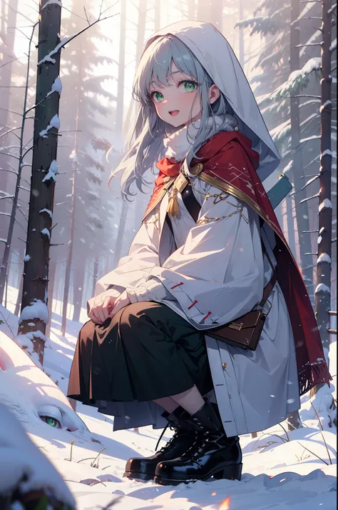 index, index, (Green Eyes:1.5), Silver Hair, Long Hair, (Flat Chest:1.2),happy smile, smile, Open your mouth,
Open your mouth,snow, fire, Outdoor, boots, snowing, From the side, wood, suitcase, Cape, Blurred, Food Up, forest, White handbag, nature,  Squat,...