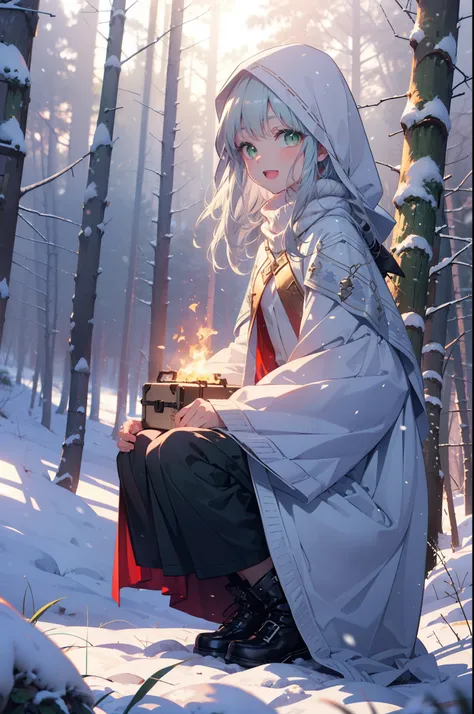 index, index, (Green Eyes:1.5), Silver Hair, Long Hair, (Flat Chest:1.2),happy smile, smile, Open your mouth,
Open your mouth,snow, fire, Outdoor, boots, snowing, From the side, wood, suitcase, Cape, Blurred, Food Up, forest, White handbag, nature,  Squat,...