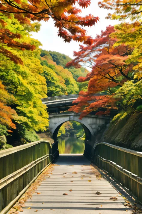 Togetsu Bridge、A 155-meter bridge over the Katsura River、Autumn leaves、Dyed red。