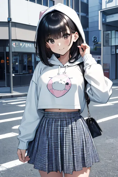 (child),(masterpiece,Highest Quality),Crop Top Look,Pastel Hoodie,(gingham checked skirt),A dark-haired,World of toys, lifting the skirt, revealing her private area, stand outside, look smile to viewers, many style of taking photo